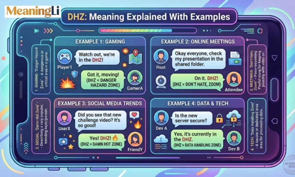 DHZ Meaning Explained With Examples