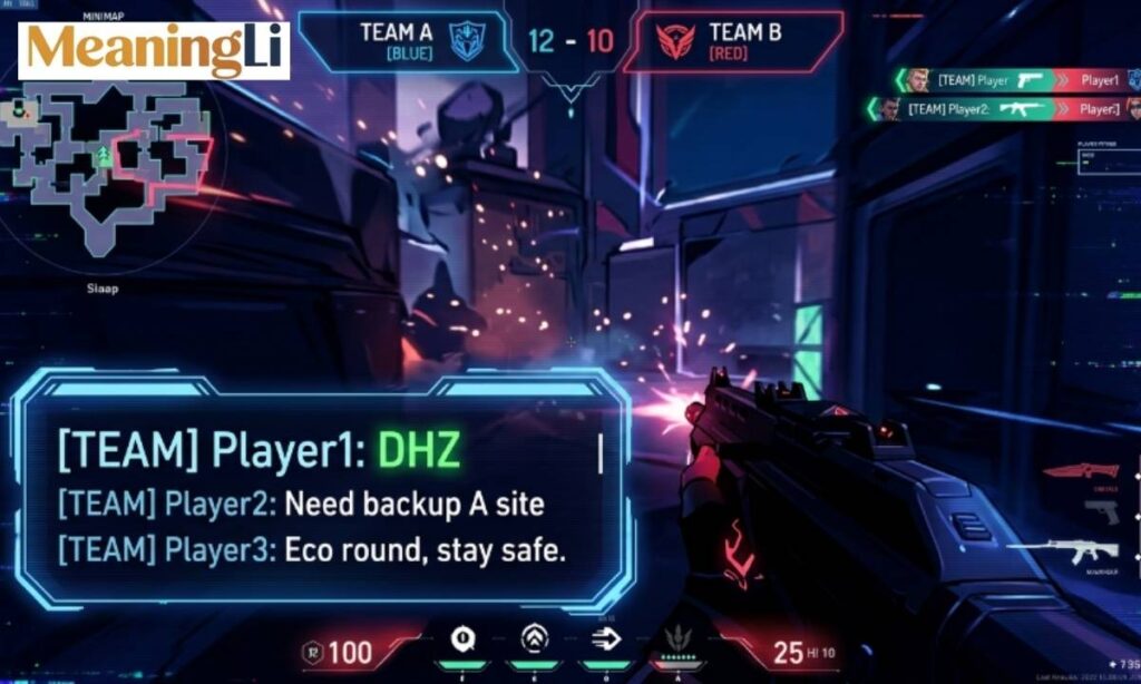 DHZ Meaning in Gaming Communities