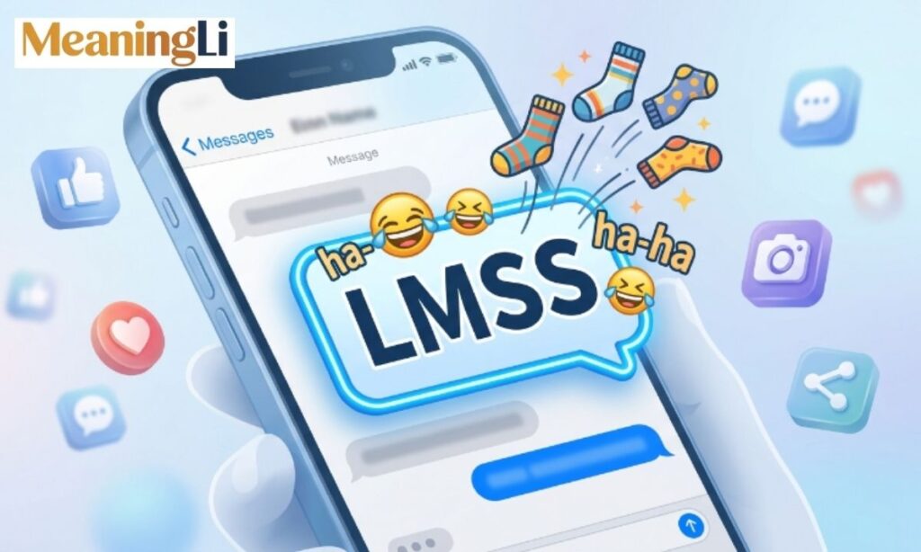 What Does LMSS Mean in Text