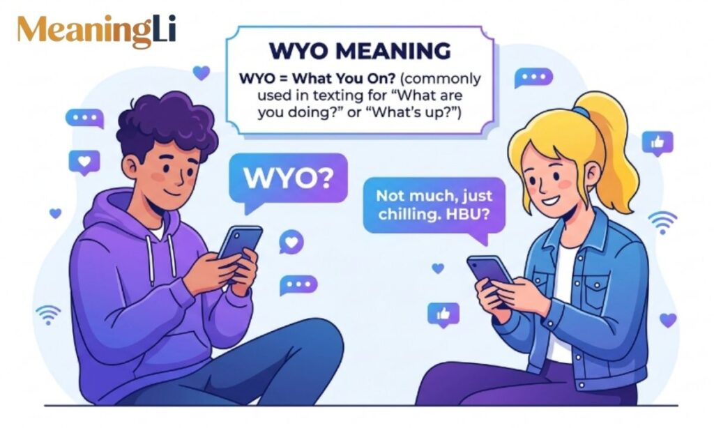 What Does WYO Mean in Text