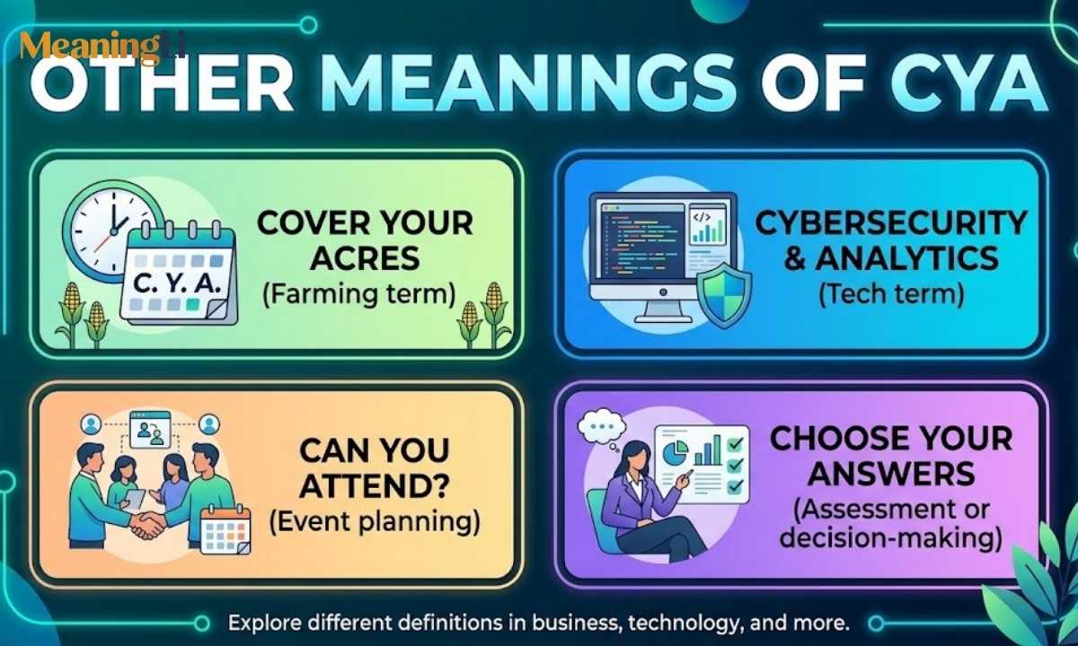 Other Meanings of CYA