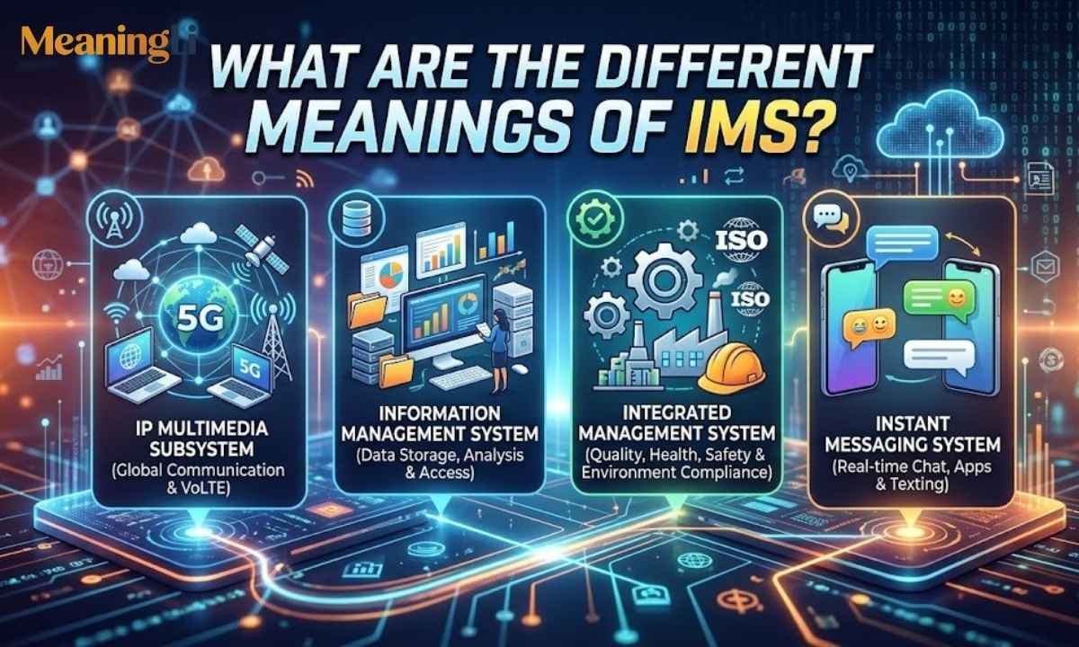 What Are the Different Meanings of IMS