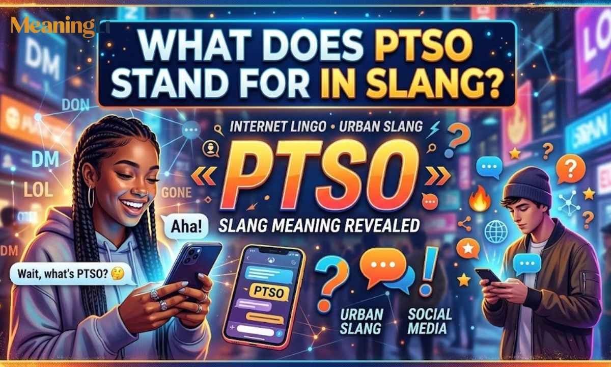 What Does PTSO Stand For in Slang