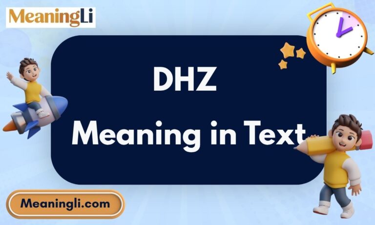 DHZ Meaning in Text