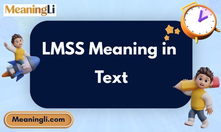 LMSS Meaning in Text